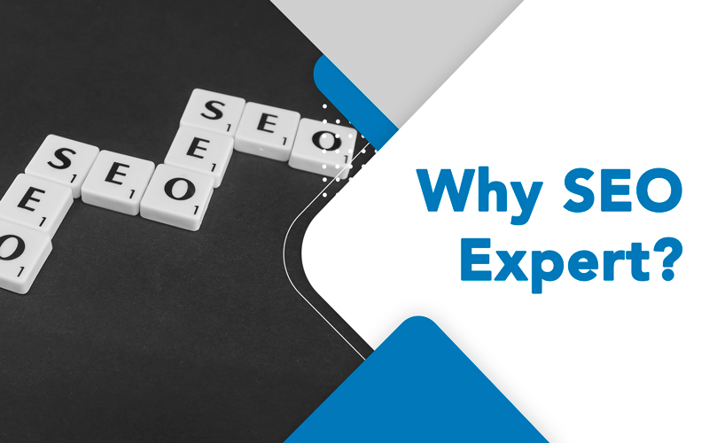 Why SEO Expert? - ROI Booster