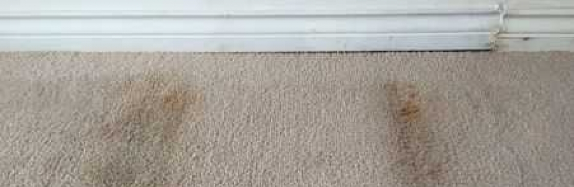 IANS Carpet Cleaning Fremantle Cover Image
