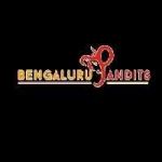 Bengaluru Pandits profile picture