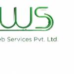Onlinks Web Services Private Limited Profile Picture