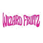wizard fruitz Profile Picture