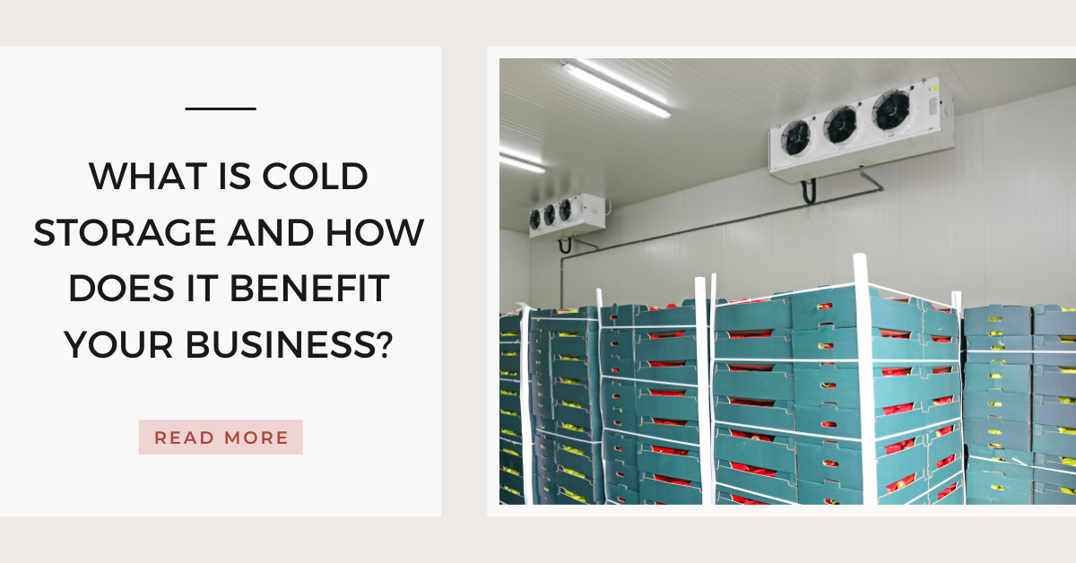 What Is Cold Storage and How Does It Benefit Your Business? | by Galadaricoldstorage | Apr, 2022 | Medium