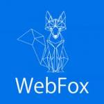 Web Fox Profile Picture