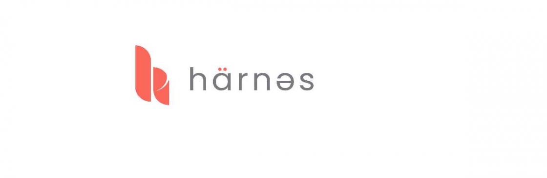 Harnes Singapore Private Limited Cover Image