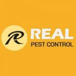 Real Spider Control Adelaide profile picture