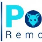 247 Possum Removal Perth Profile Picture