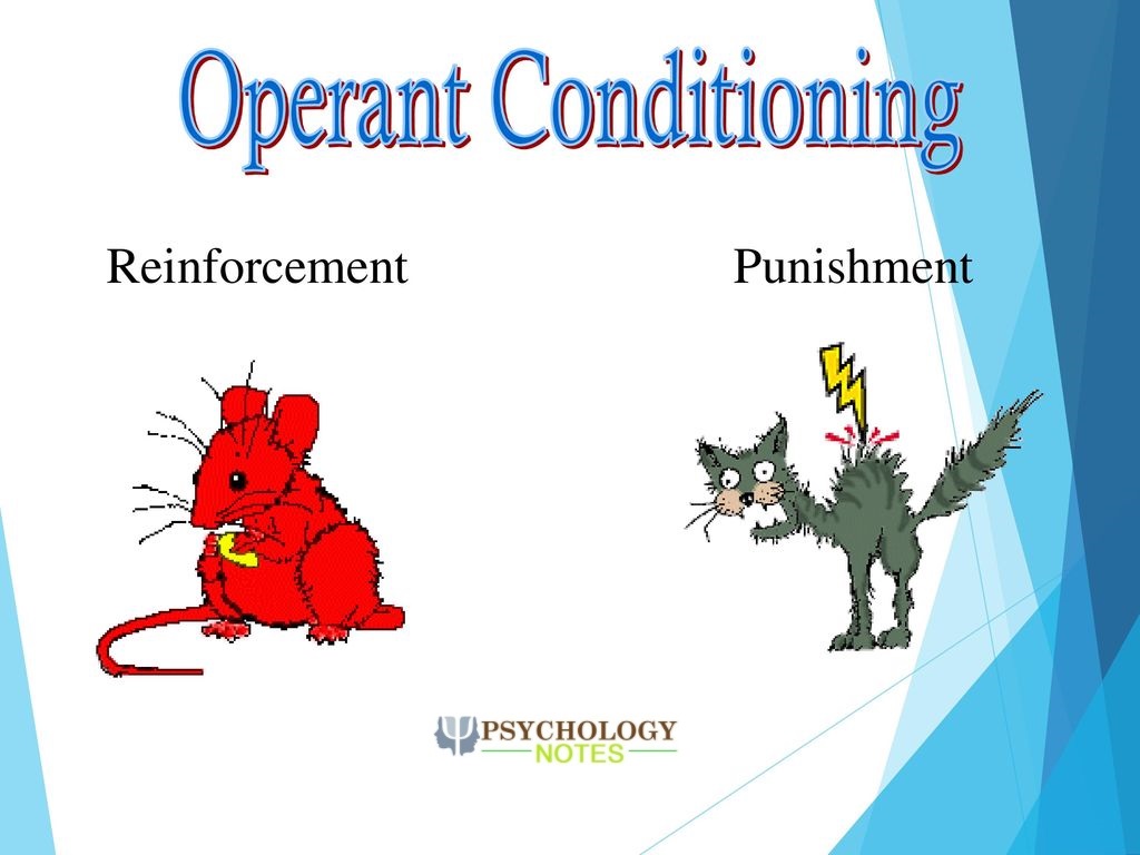 OPERANT CONDITIONING / INSTRUMENTAL CONDITIONING