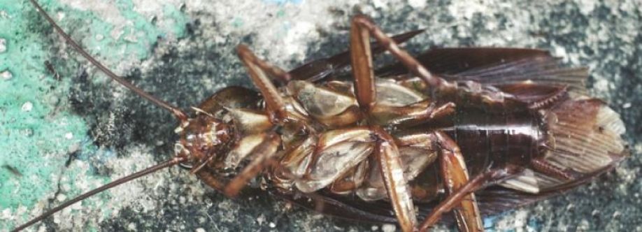 Massey Pest Control Hobart Cover Image