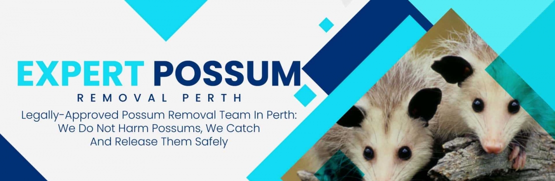 247 Possum Removal Perth Cover Image