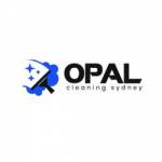 Opal Cleaning Sydney Profile Picture