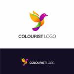 colourist logo Profile Picture