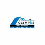 Olympus Roofing Specialist Profile Picture
