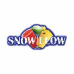 Snow Flow Profile Picture