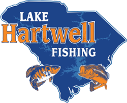 Lake Hartwell Hybrid Bass Fishing