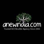 A New India SEO Reseller Agency Profile Picture