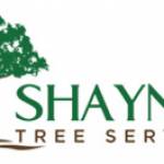shaynestree services Profile Picture