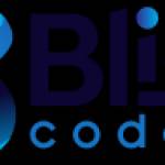 Bliss Coders Profile Picture
