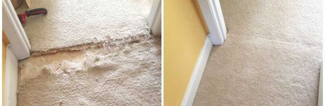 CBD Carpet Repair Cover Image