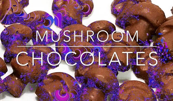 Three easy ways to make magic Mushroom chocolate - Fantasy Shrooms