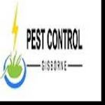 Pest Control Gisborne Profile Picture