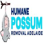 Humane Possum Removal Adelaide Profile Picture
