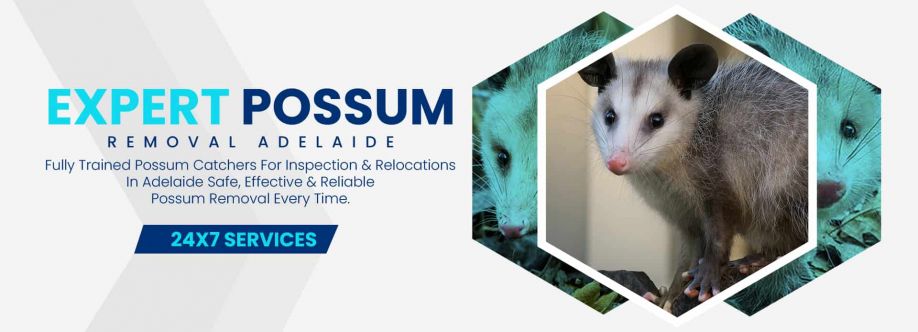 Humane Possum Removal Adelaide Cover Image