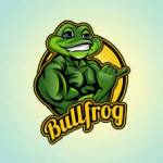 Bullfrog Digital Marketing Agency and SEO Profile Picture
