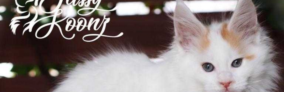 Sassy Koonz Maine Coon Kittens Cover Image