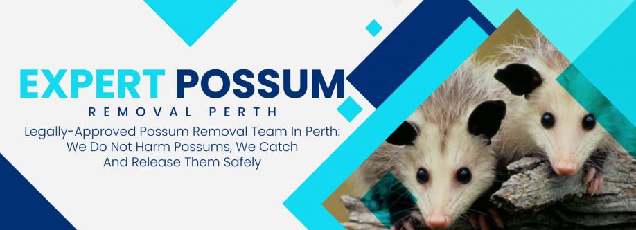 Humane Possum Removal Perth Cover Image