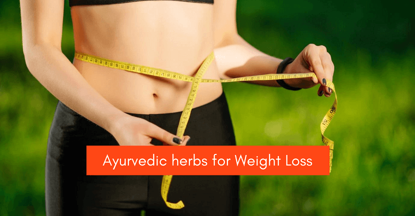 Ayurvedic Herbs for Weight Loss - Wellness Mantra