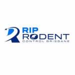 RIP Rodent Control Brisbane Profile Picture