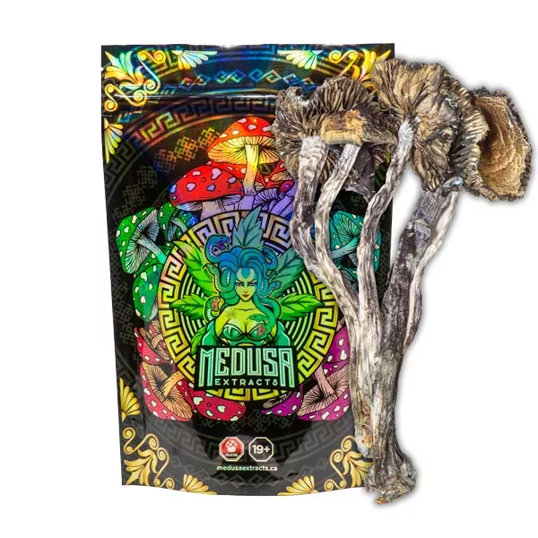 Buy Blue Meanie Magic Mushrooms in Canada | Medusa Extracts