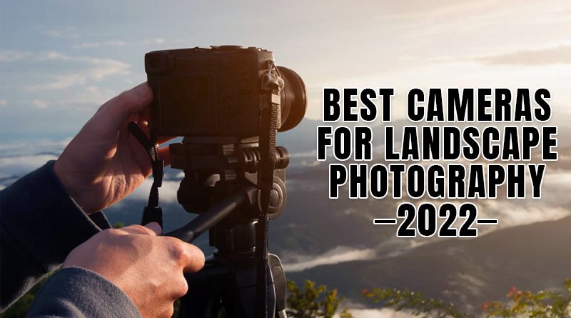 Best Cameras For Landscape Photography 2022 - What's New Dawg