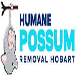 Humane Possum Removal Hobart Profile Picture