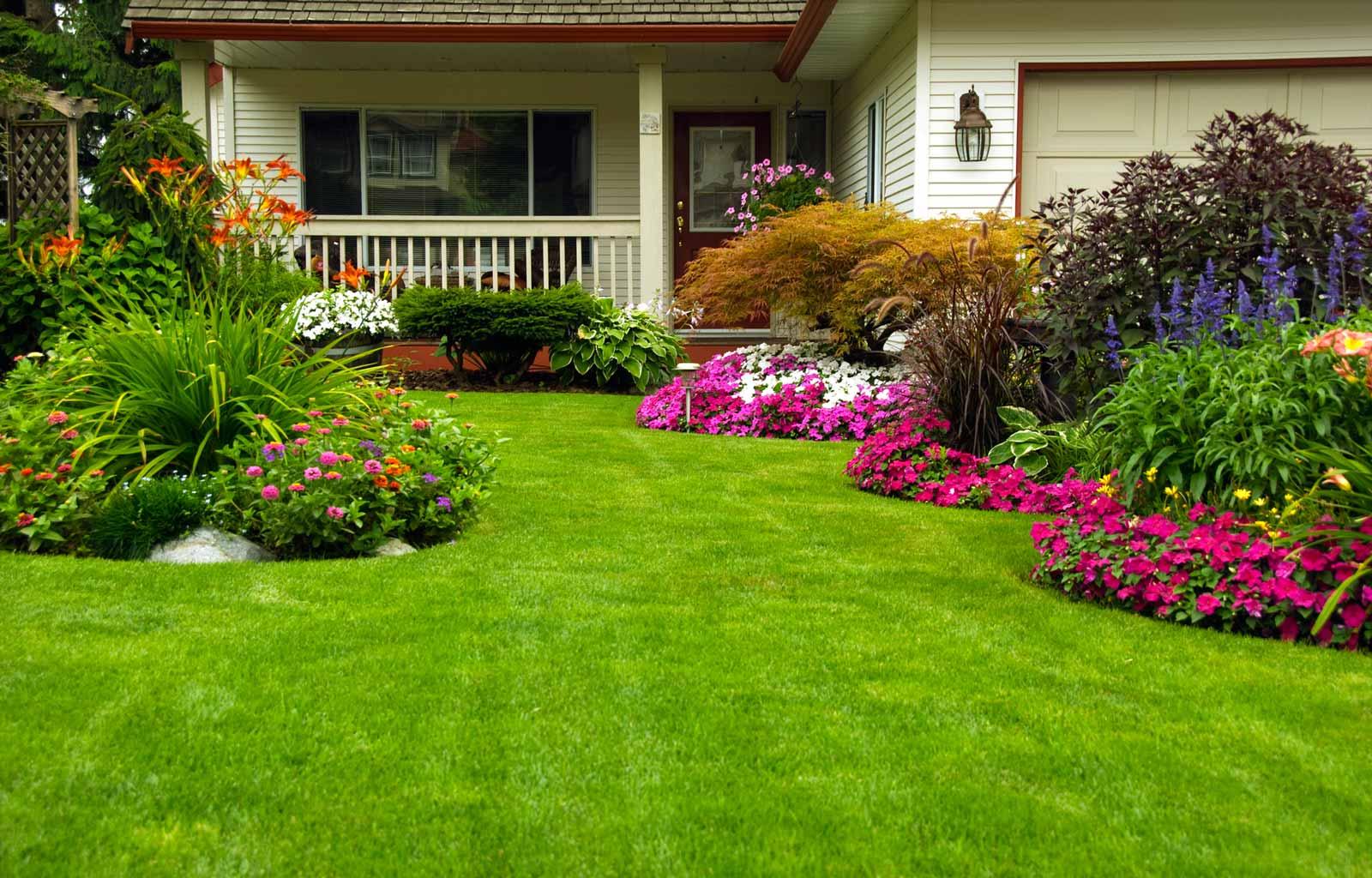 Professional Lawn Maintenance Services to Enhance Curb Appeal in Melbourne