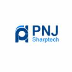 Pnj Sharptech Computing Services Profile Picture