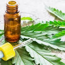 CBD Oil Therapy And Researche - Media/News Blog Article By