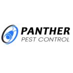 Panther Spider Control Brisbane Profile Picture