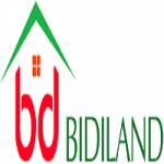 bidiland profile picture