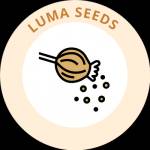 Luma Seeds Profile Picture