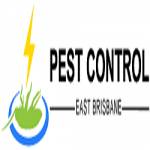 Ants Control East Brisbane Profile Picture