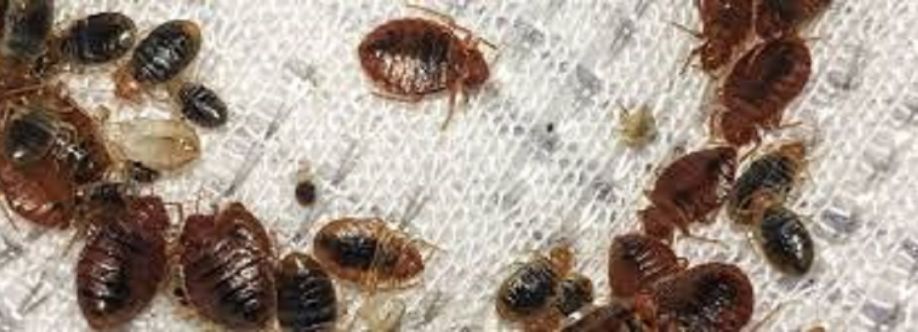 Peters Bed Bugs Control Melbourne Cover Image