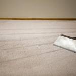 Top Carpet Cleaning Adelaide Profile Picture