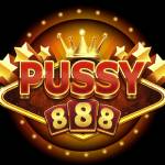 Pussy888 pussy888 Profile Picture