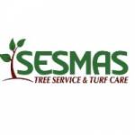 Sesmas Tree Service LLC Profile Picture