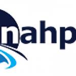 Nahpo Profile Picture