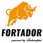 Fortador LLC Profile Picture