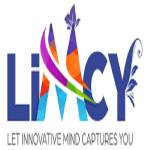 Limcy Packaging Profile Picture