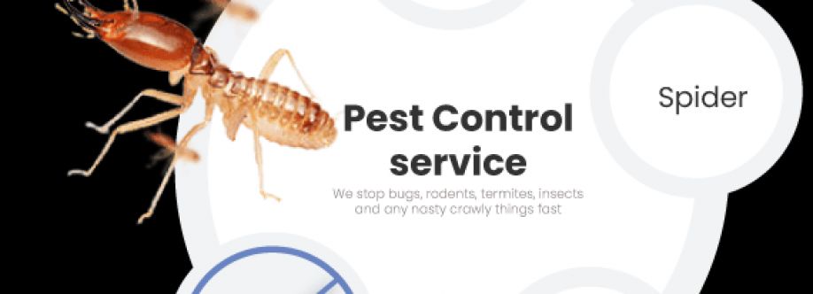Exit Spider Control Adelaide Cover Image