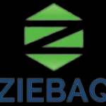 Ziebaq Technology Profile Picture